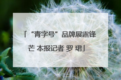 “青字号”品牌展露锋芒 本报记者 罗 珺